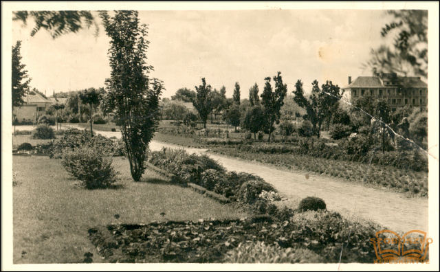 Parkrészlet Parkrészlet