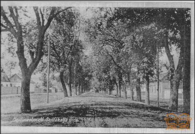 Szilfákalja utcarészlet