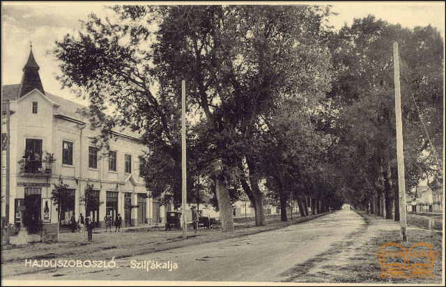 Szilfákalja utcarészlet