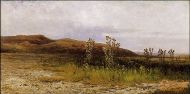 Balatonpart szamárkórókkal Balatonpart szamárkórókkal