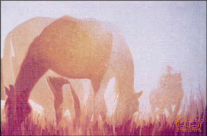 Lovak a reggeli harmatban