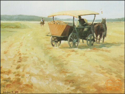 Lovasszekér Lovasszekér